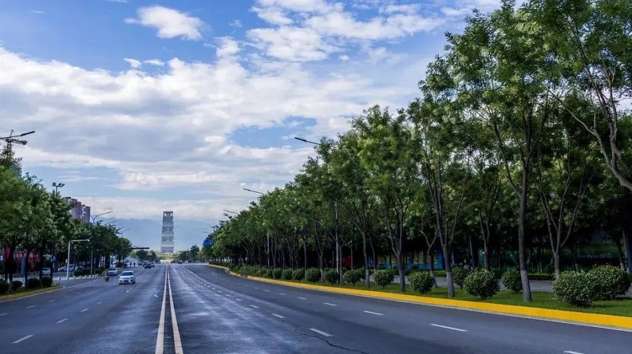 陜西西安-航天南路、神北二路等道路綠化及綠帶項(xiàng)目.jpg